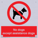 no-dogs-except-assistance-dogs~